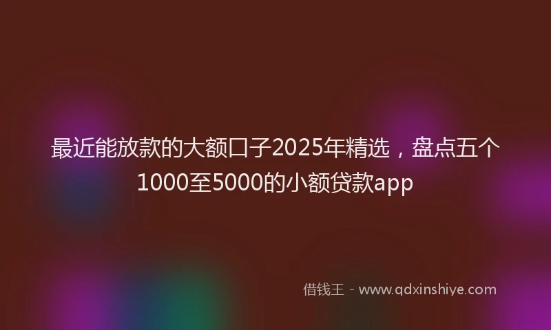 最近能放款的大额口子2025年精选，盘点五个1000至5000的小额贷款app