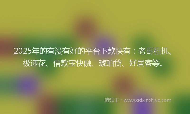 2025年的有没有好的平台下款快有：老哥租机、极速花、借款宝快融、琥珀贷、好居客等。