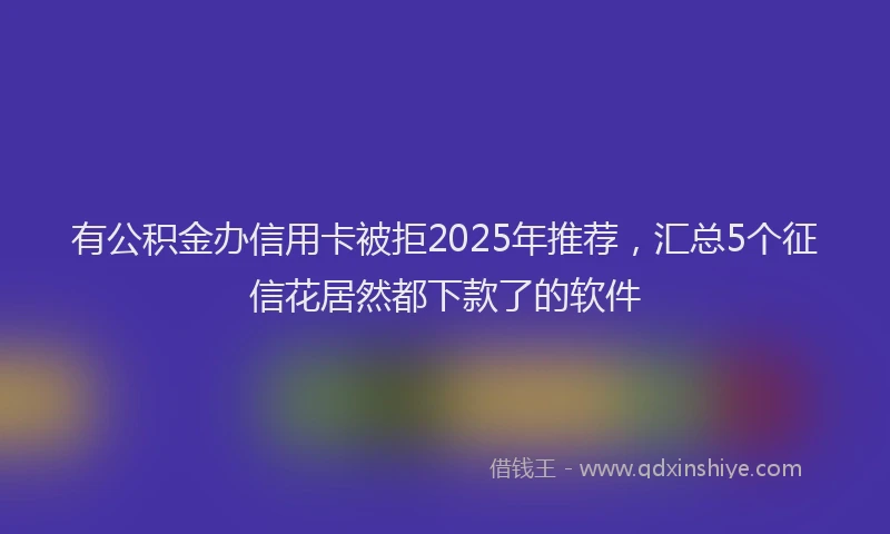 有公积金办信用卡被拒2025年推荐，汇总5个征信花居然都下款了的软件