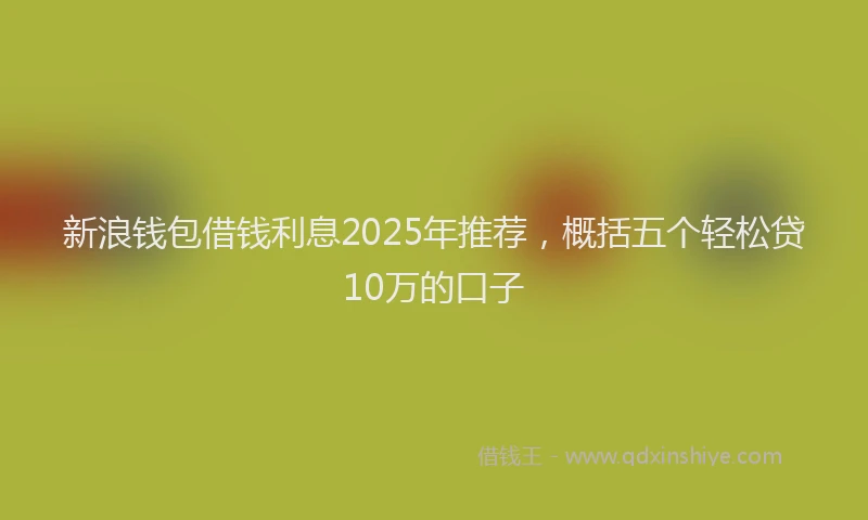 新浪钱包借钱利息2025年推荐，概括五个轻松贷10万的口子