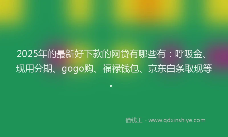 2025年的最新好下款的网贷有哪些有：呼吸金、现用分期、gogo购、福禄钱包、京东白条取现等。