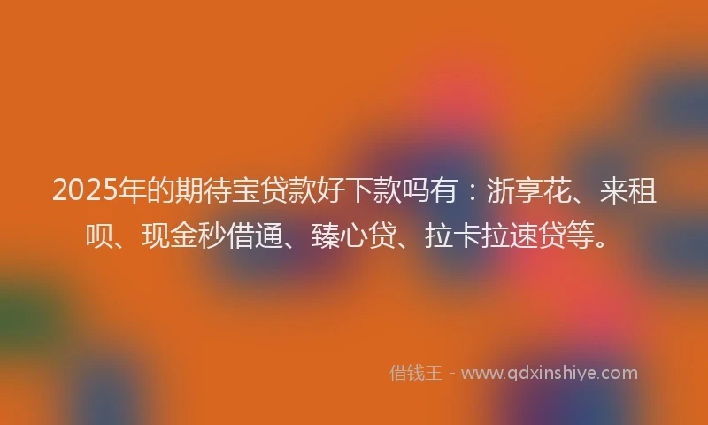 2025年的期待宝贷款好下款吗有：浙享花、来租呗、现金秒借通、臻心贷、拉卡拉速贷等。