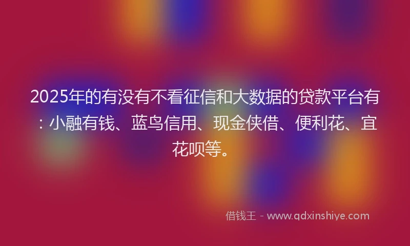 2025年的有没有不看征信和大数据的贷款平台有：小融有钱、蓝鸟信用、现金侠借、便利花、宜花呗等。