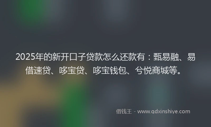 2025年的新开口子贷款怎么还款有：甄易融、易借速贷、哆宝贷、哆宝钱包、兮悦商城等。