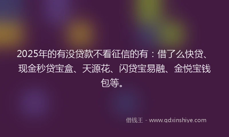 2025年的有没贷款不看征信的有：借了么快贷、现金秒贷宝盒、天源花、闪贷宝易融、金悦宝钱包等。