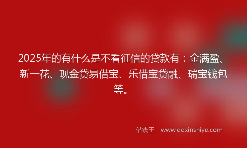 2025年的有什么是不看征信的贷款有：金满盈、新一花、现金贷易借宝、乐借宝贷融、瑞宝钱包等。
