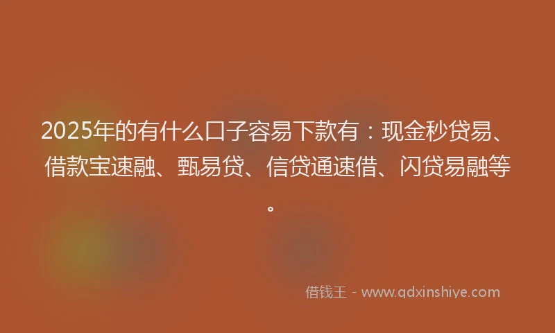 2025年的有什么口子容易下款有：现金秒贷易、借款宝速融、甄易贷、信贷通速借、闪贷易融等。