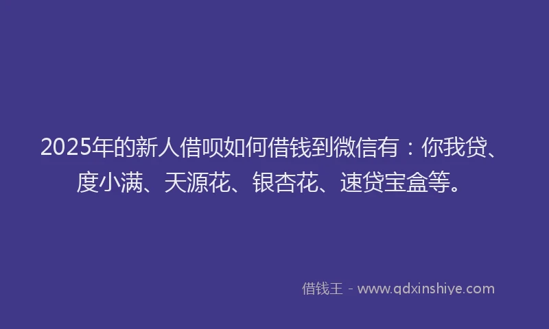 2025年的新人借呗如何借钱到微信有：你我贷、度小满、天源花、银杏花、速贷宝盒等。