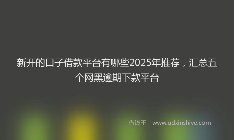 新开的口子借款平台有哪些2025年推荐，汇总五个网黑逾期下款平台