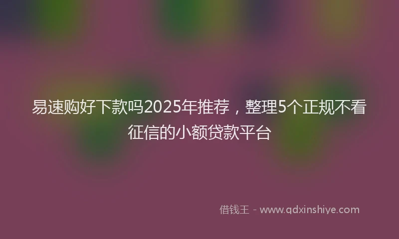 易速购好下款吗2025年推荐，整理5个正规不看征信的小额贷款平台