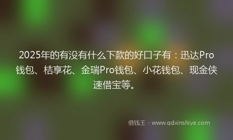 2025年的有没有什么下款的好口子有：迅达Pro钱包、桔享花、金瑞Pro钱包、小花钱包、现金侠速借宝等。