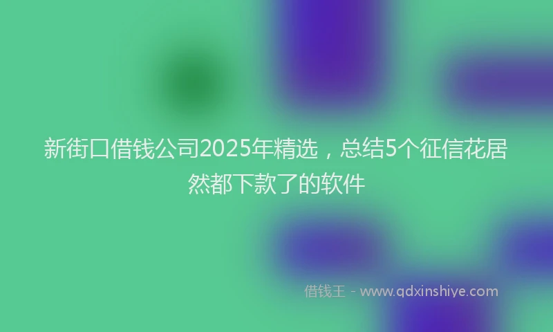 新街口借钱公司2025年精选，总结5个征信花居然都下款了的软件