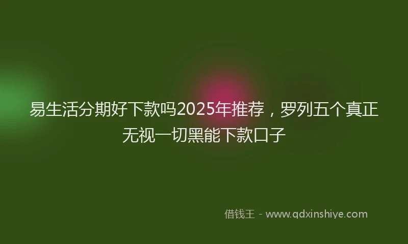 易生活分期好下款吗2025年推荐，罗列五个真正无视一切黑能下款口子