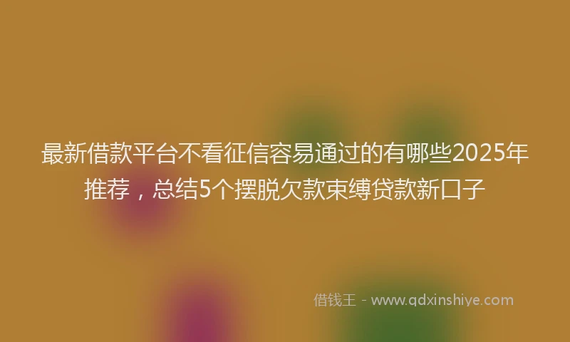 最新借款平台不看征信容易通过的有哪些2025年推荐，总结5个摆脱欠款束缚贷款新口子