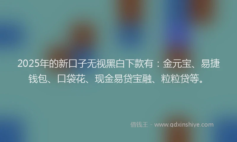 2025年的新口子无视黑白下款有：金元宝、易捷钱包、口袋花、现金易贷宝融、粒粒贷等。