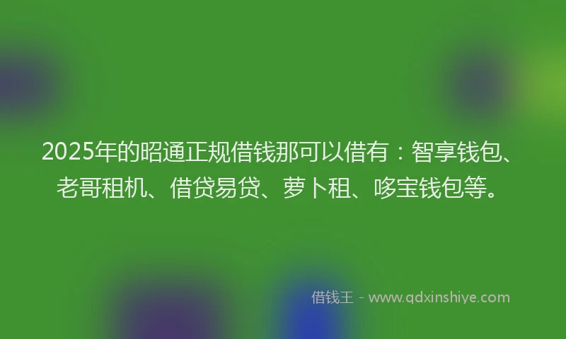 2025年的昭通正规借钱那可以借有：智享钱包、老哥租机、借贷易贷、萝卜租、哆宝钱包等。