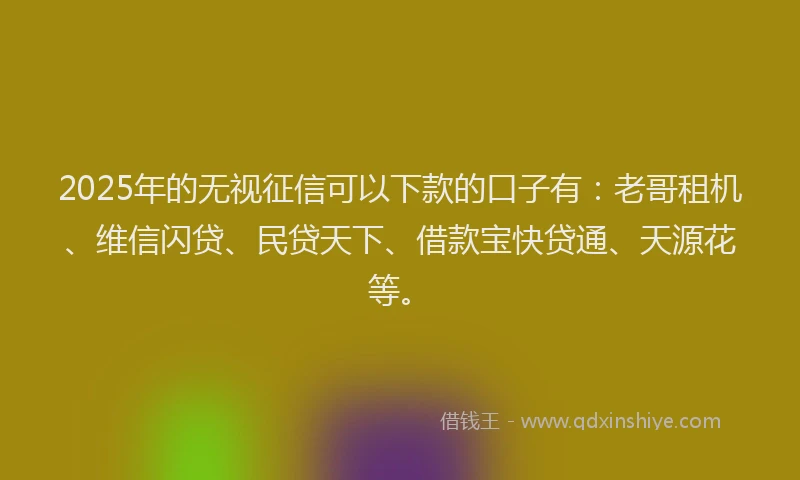 2025年的无视征信可以下款的口子有：老哥租机、维信闪贷、民贷天下、借款宝快贷通、天源花等。