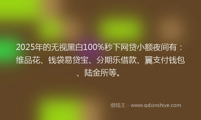 2025年的无视黑白100%秒下网贷小额夜间有：维品花、钱袋易贷宝、分期乐借款、翼支付钱包、陆金所等。
