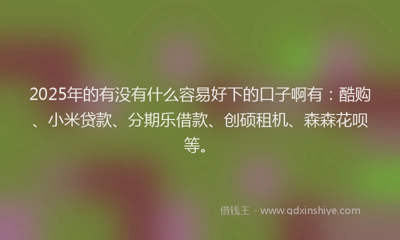 2025年的有没有什么容易好下的口子啊有：酷购、小米贷款、分期乐借款、创硕租机、森森花呗等。
