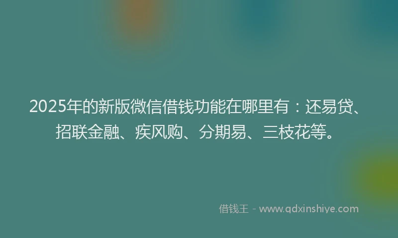 2025年的新版微信借钱功能在哪里有：还易贷、招联金融、疾风购、分期易、三枝花等。
