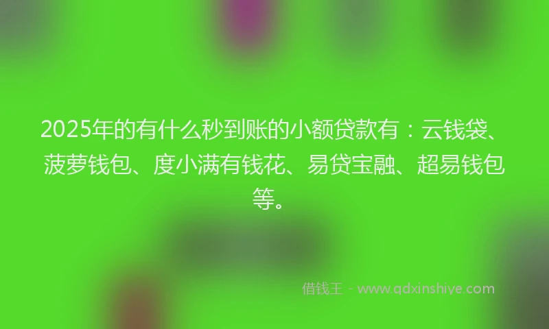 2025年的有什么秒到账的小额贷款有：云钱袋、菠萝钱包、度小满有钱花、易贷宝融、超易钱包等。