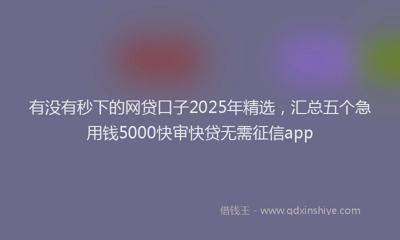 有没有秒下的网贷口子2025年精选，汇总五个急用钱5000快审快贷无需征信app