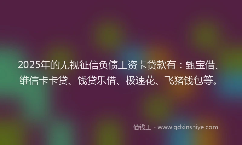 2025年的无视征信负债工资卡贷款有：甄宝借、维信卡卡贷、钱贷乐借、极速花、飞猪钱包等。