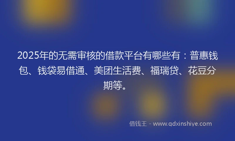 2025年的无需审核的借款平台有哪些有：普惠钱包、钱袋易借通、美团生活费、福瑞贷、花豆分期等。