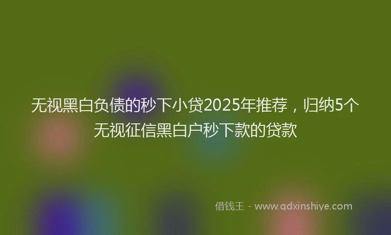 无视黑白负债的秒下小贷2025年推荐，归纳5个无视征信黑白户秒下款的贷款