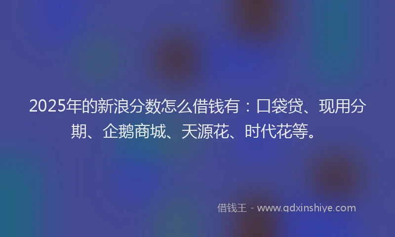 2025年的新浪分数怎么借钱有：口袋贷、现用分期、企鹅商城、天源花、时代花等。