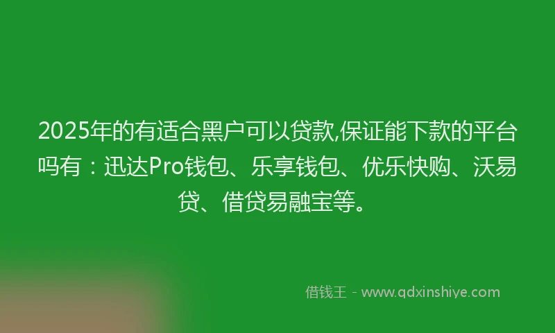2025年的有适合黑户可以贷款,保证能下款的平台吗有：迅达Pro钱包、乐享钱包、优乐快购、沃易贷、借贷易融宝等。