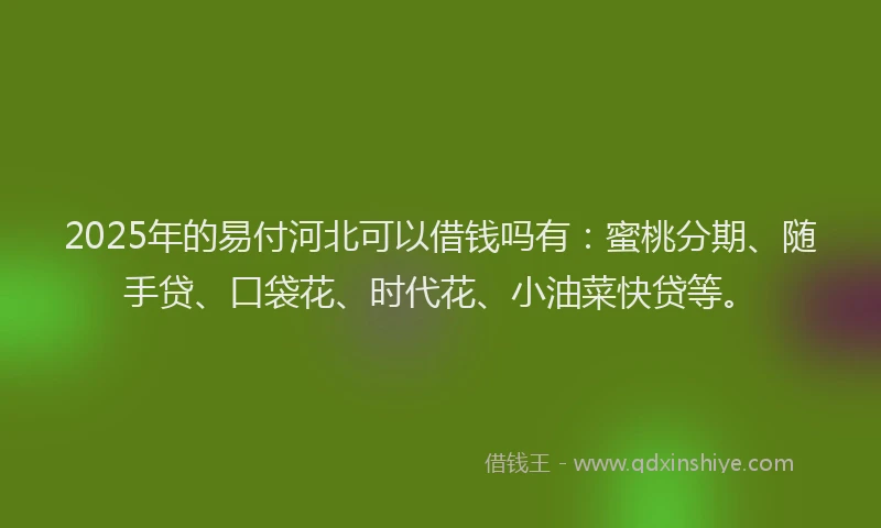 2025年的易付河北可以借钱吗有：蜜桃分期、随手贷、口袋花、时代花、小油菜快贷等。