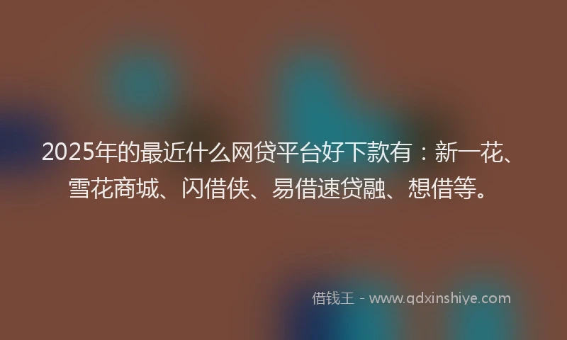 2025年的最近什么网贷平台好下款有：新一花、雪花商城、闪借侠、易借速贷融、想借等。