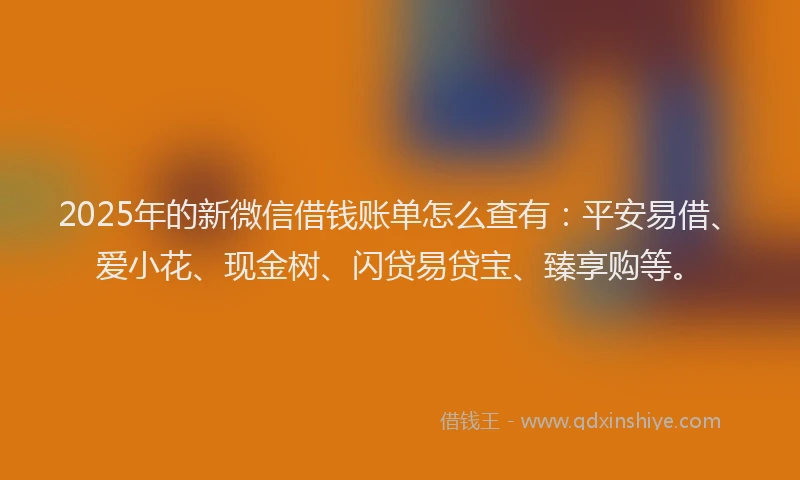 2025年的新微信借钱账单怎么查有：平安易借、爱小花、现金树、闪贷易贷宝、臻享购等。