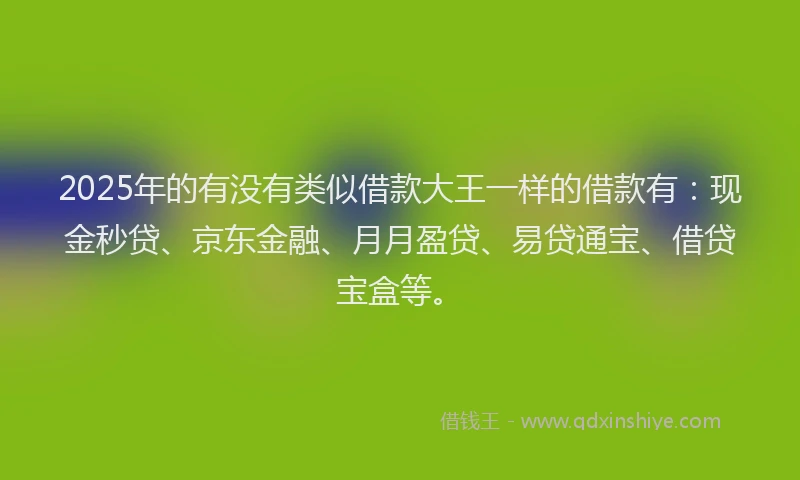 2025年的有没有类似借款大王一样的借款有：现金秒贷、京东金融、月月盈贷、易贷通宝、借贷宝盒等。