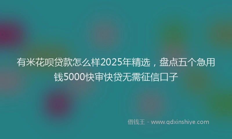 有米花呗贷款怎么样2025年精选，盘点五个急用钱5000快审快贷无需征信口子
