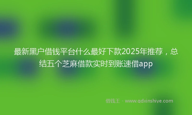 最新黑户借钱平台什么最好下款2025年推荐，总结五个芝麻借款实时到账速借app