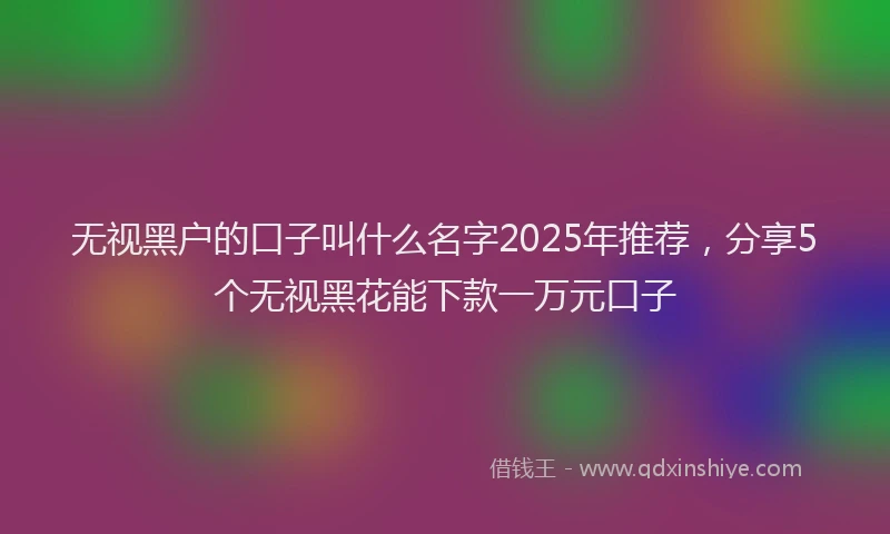 无视黑户的口子叫什么名字2025年推荐，分享5个无视黑花能下款一万元口子