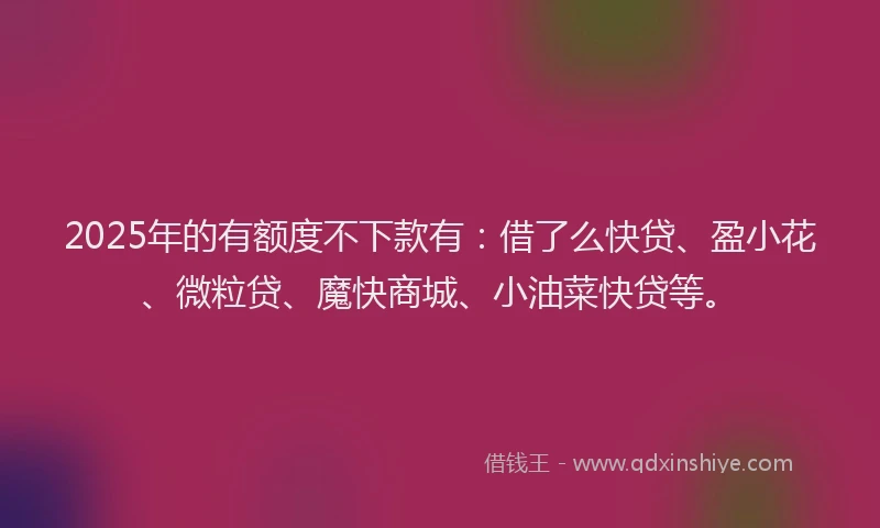 2025年的有额度不下款有：借了么快贷、盈小花、微粒贷、魔快商城、小油菜快贷等。