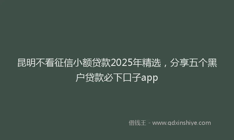 昆明不看征信小额贷款2025年精选，分享五个黑户贷款必下口子app