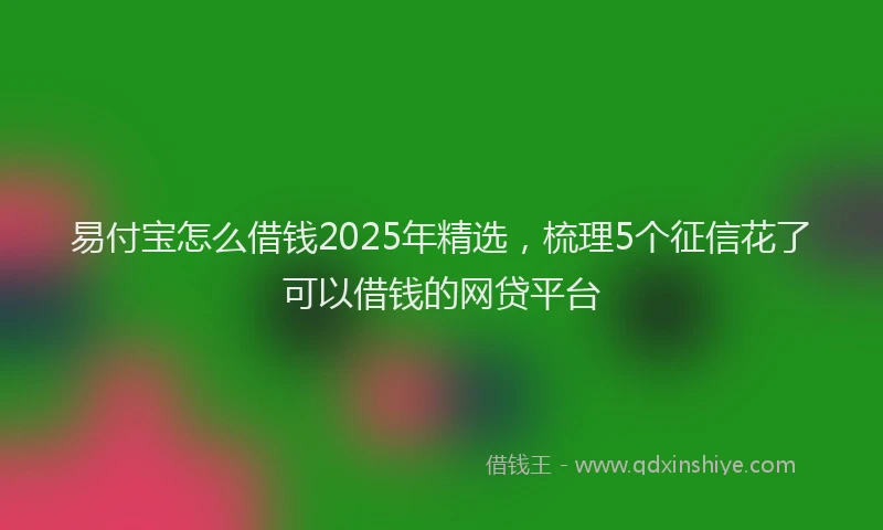 易付宝怎么借钱2025年精选，梳理5个征信花了可以借钱的网贷平台