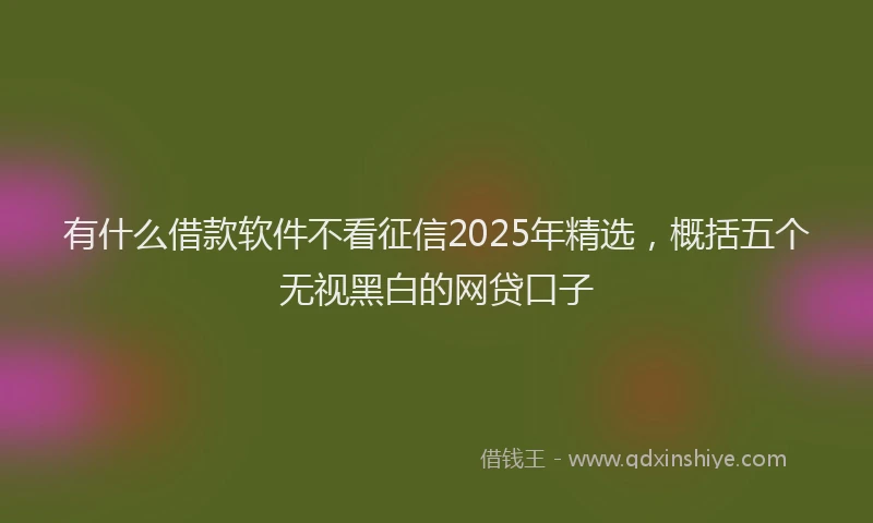有什么借款软件不看征信2025年精选，概括五个无视黑白的网贷口子