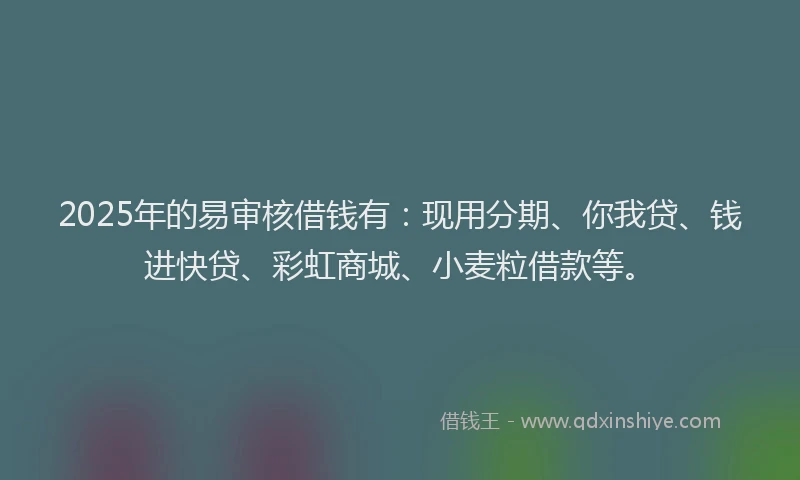 2025年的易审核借钱有：现用分期、你我贷、钱进快贷、彩虹商城、小麦粒借款等。
