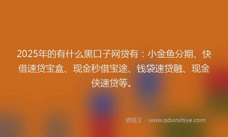 2025年的有什么黑口子网贷有：小金鱼分期、快借速贷宝盒、现金秒借宝途、钱袋速贷融、现金侠速贷等。