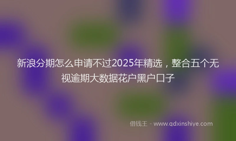 新浪分期怎么申请不过2025年精选，整合五个无视逾期大数据花户黑户口子