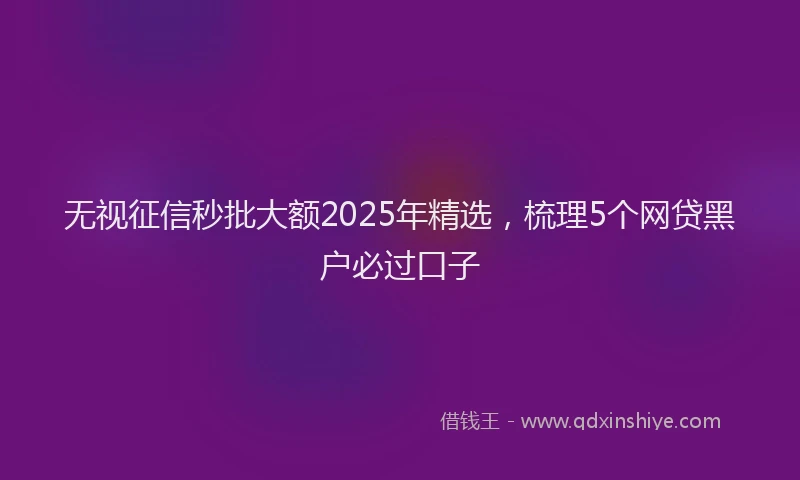 无视征信秒批大额2025年精选，梳理5个网贷黑户必过口子