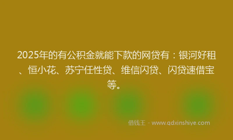 2025年的有公积金就能下款的网贷有：银河好租、恒小花、苏宁任性贷、维信闪贷、闪贷速借宝等。