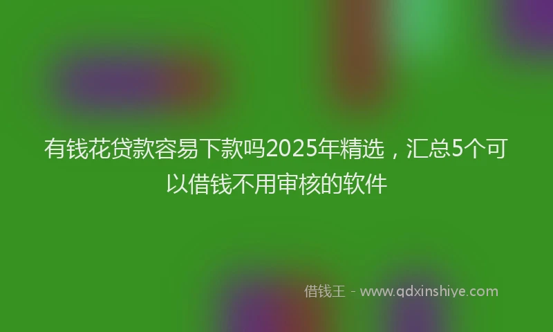 有钱花贷款容易下款吗2025年精选，汇总5个可以借钱不用审核的软件