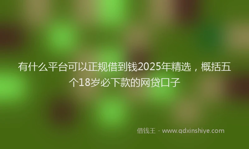 有什么平台可以正规借到钱2025年精选，概括五个18岁必下款的网贷口子