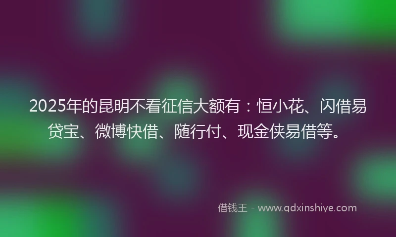 2025年的昆明不看征信大额有：恒小花、闪借易贷宝、微博快借、随行付、现金侠易借等。